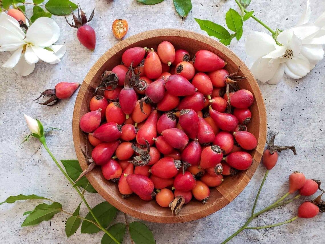 rose hips