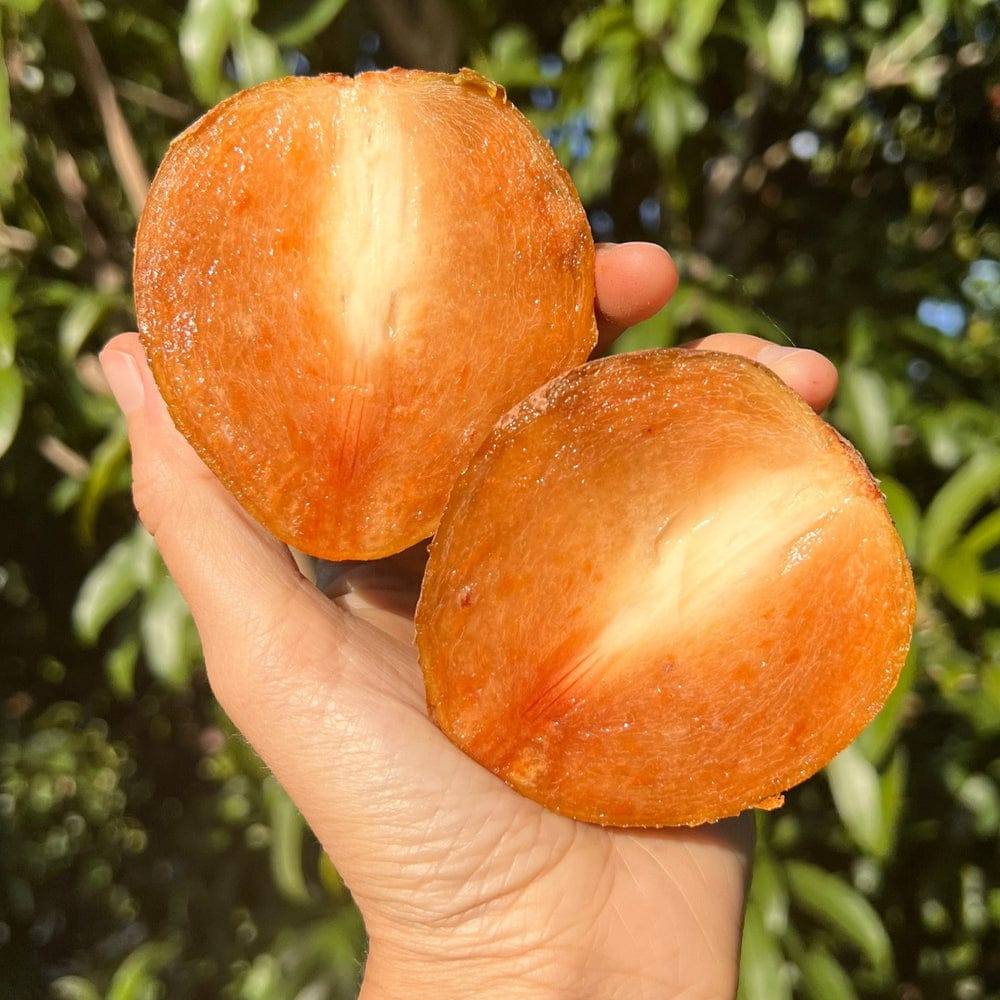Fresh sapodilla