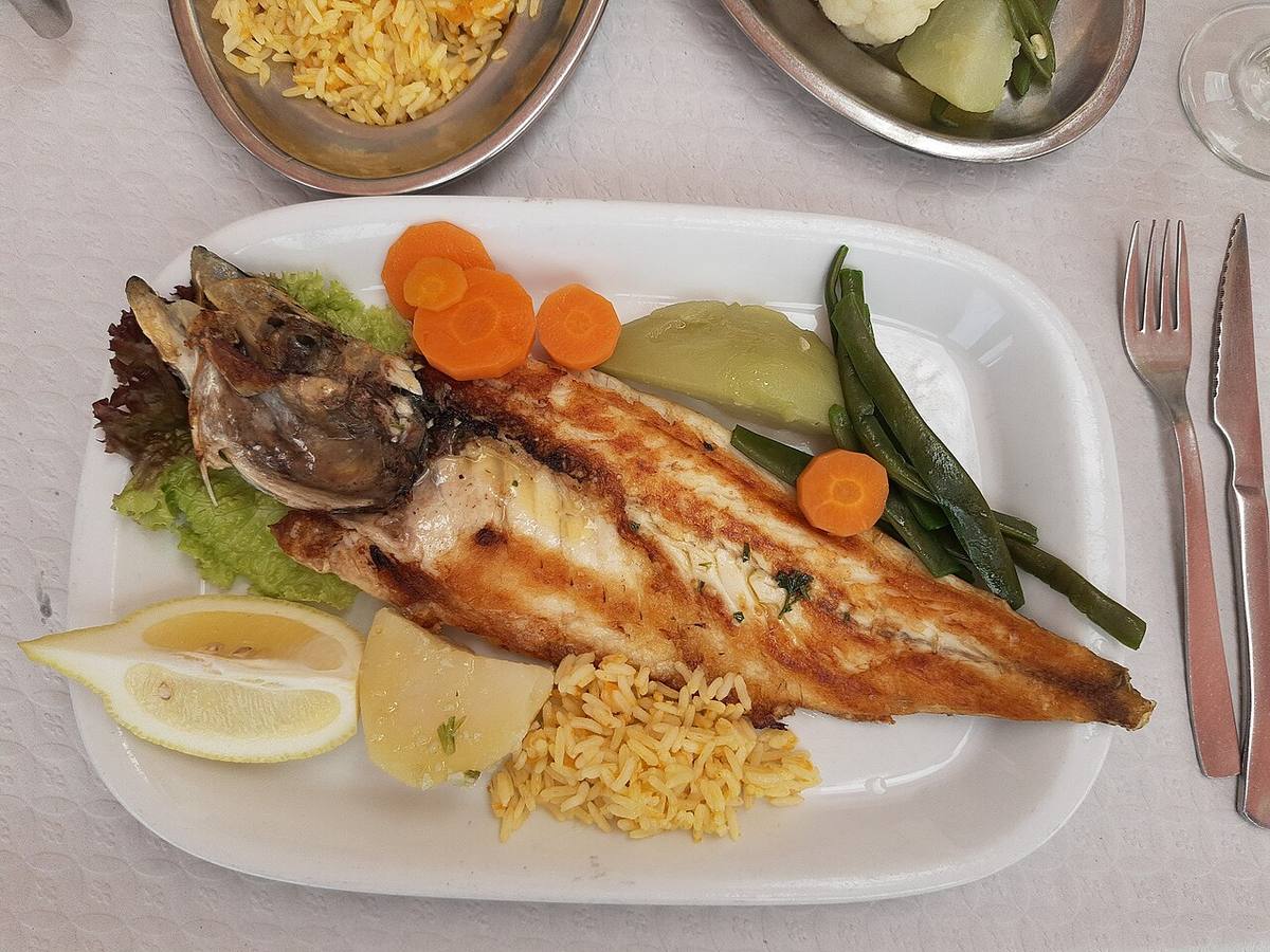 Giant Sea Bass, CAS