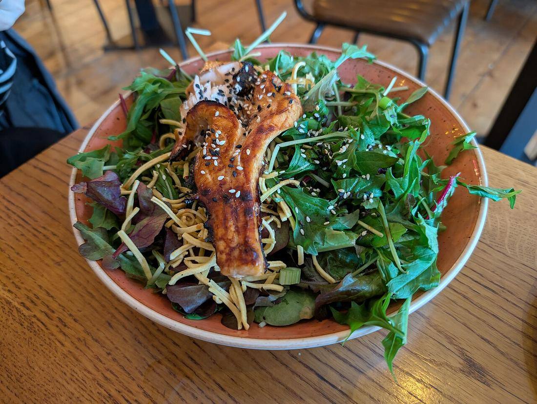 TERIYAKI SALMON SALAD - Jonny's 2025-05-27 (Sesame Ginger Dressing)