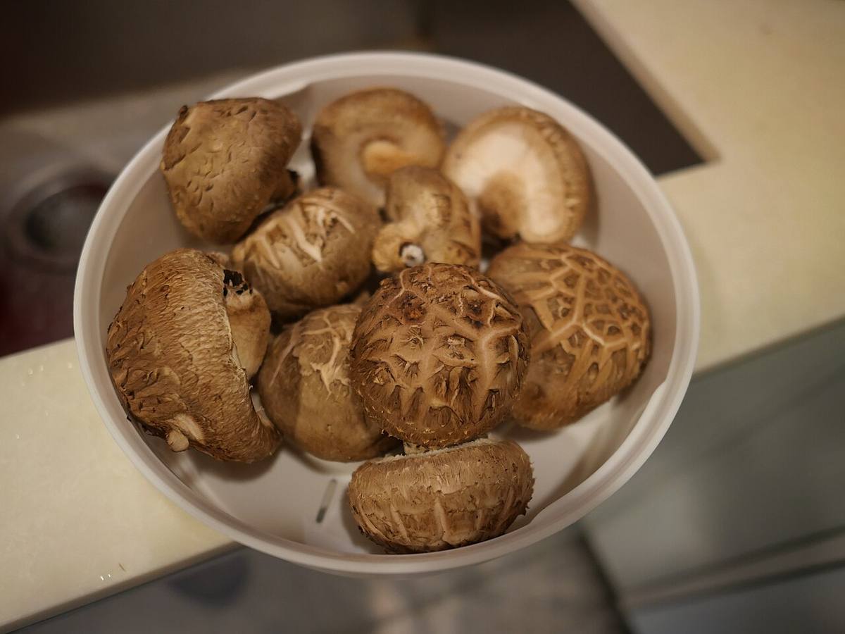 Wien, Naschmarkt -- 2018 -- 3109 (Shiitake)