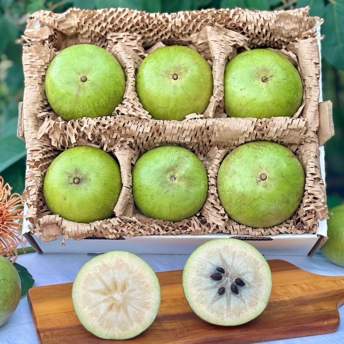 Fresh star apple