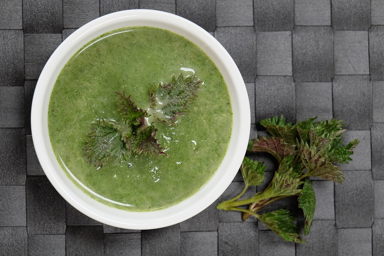 Abuluntu nettle soup (Stinging Nettles)