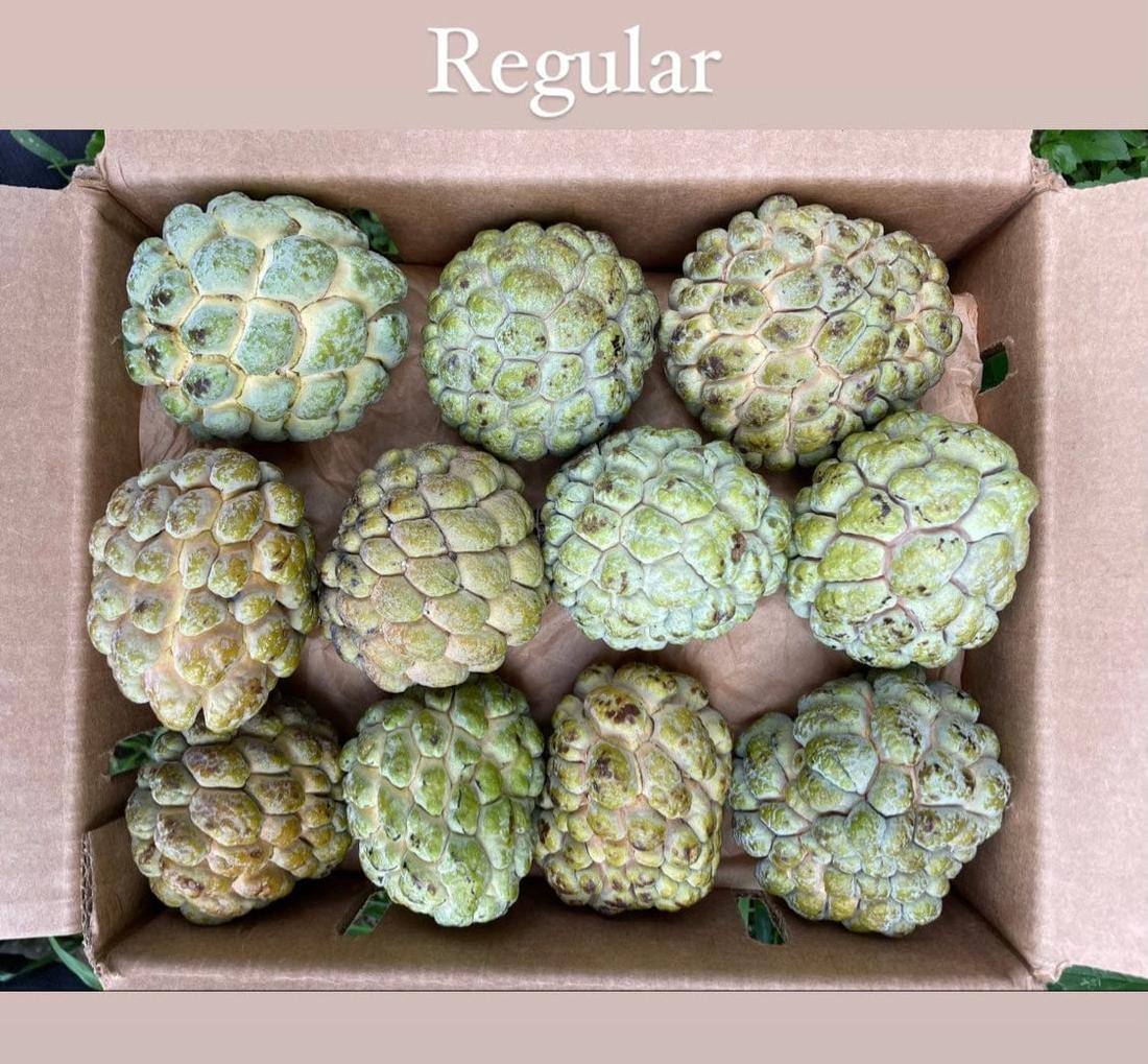 Fresh sugar apple