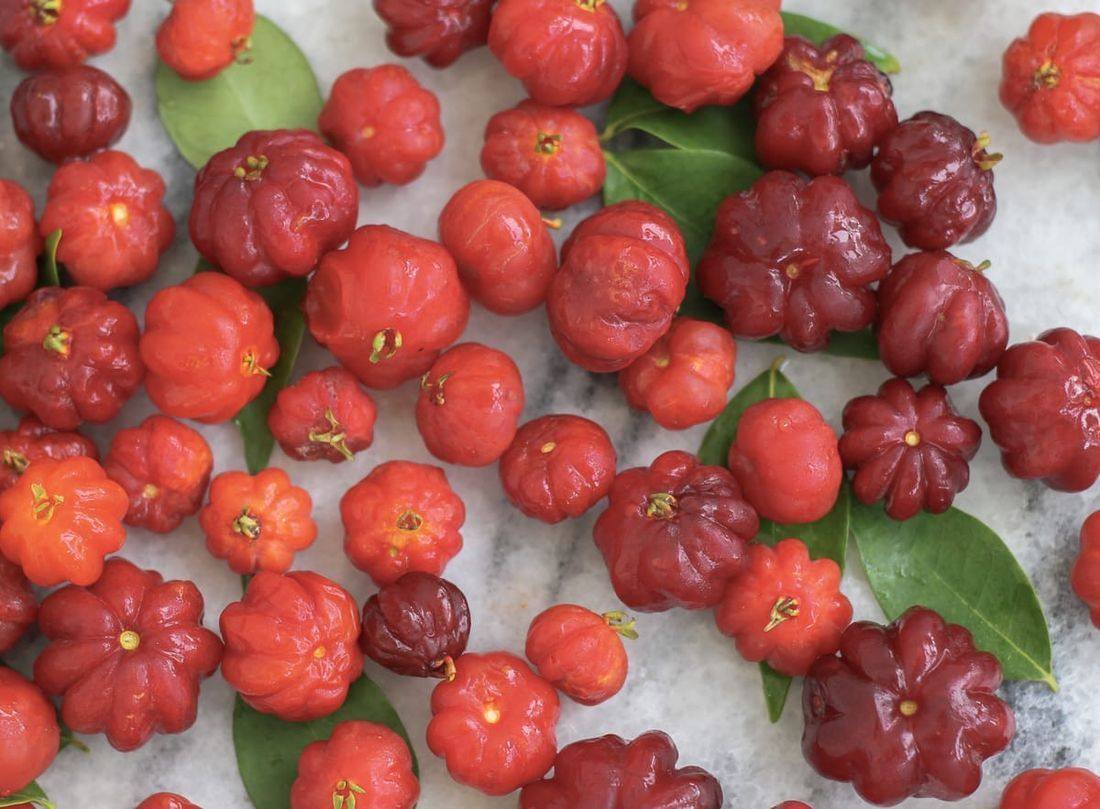 surinam cherries
