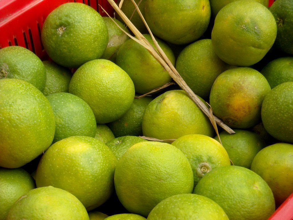 India - Koyambedu Market - Sweet Lime 02 (Sweet Lime)