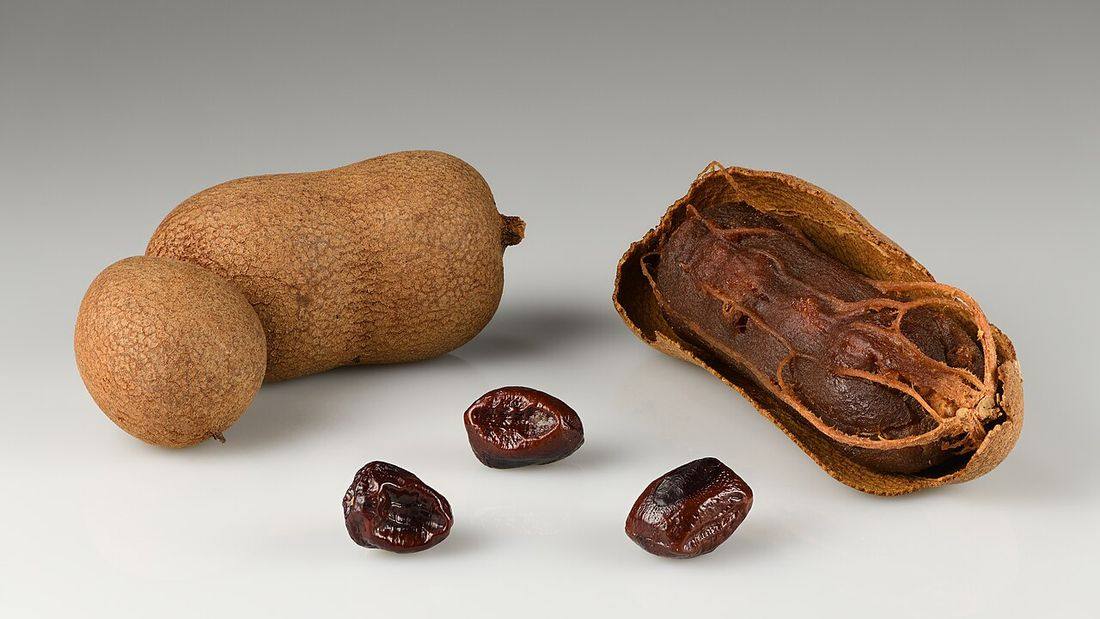 Tamarind fruits (Tamarindus indica 'Si Thong')