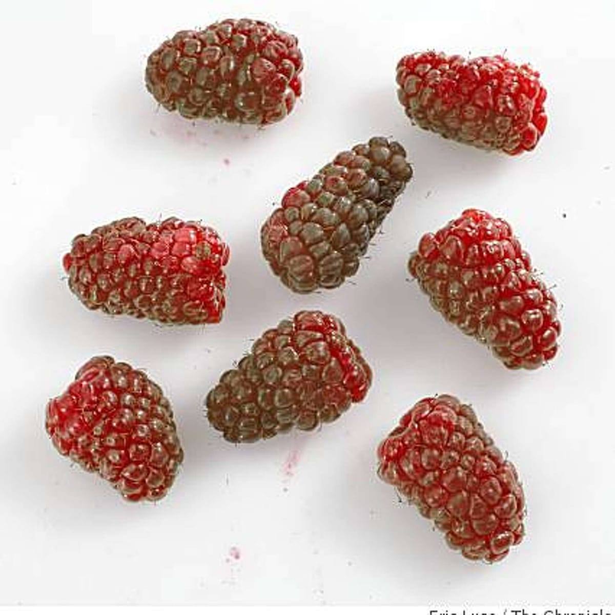 tayberries