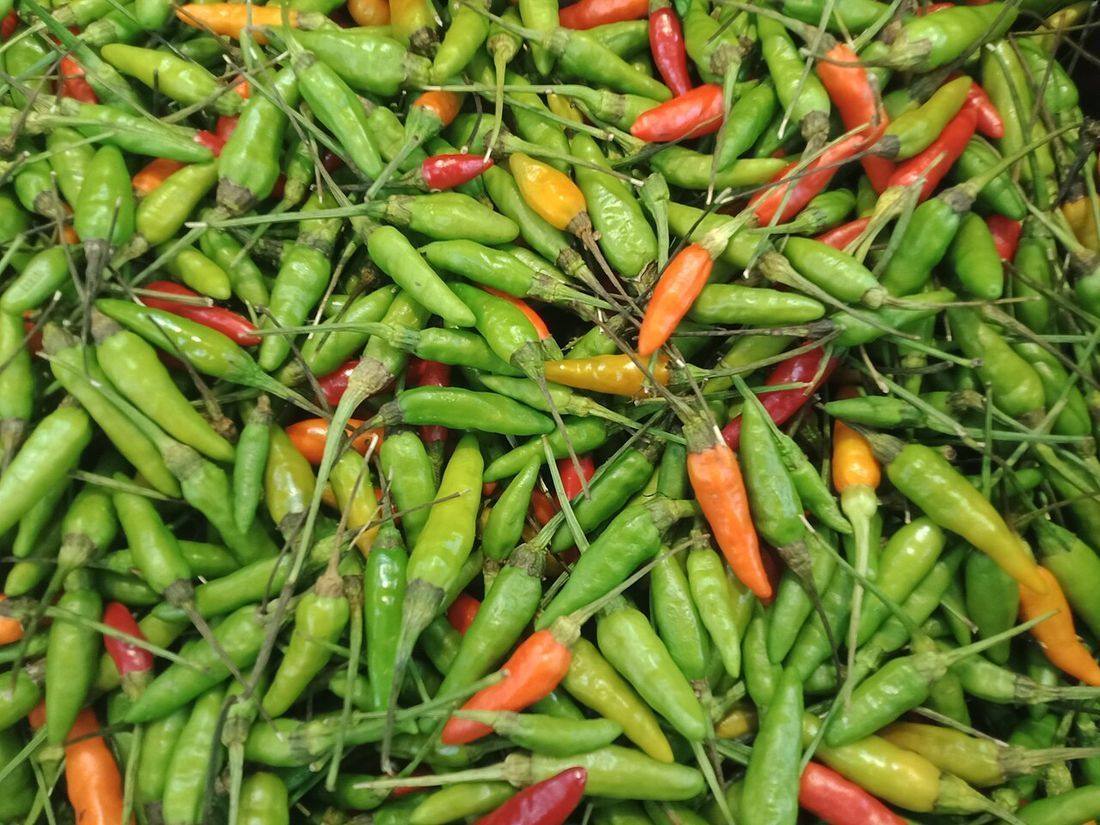 Bird's eye chili (Thai Chilis)