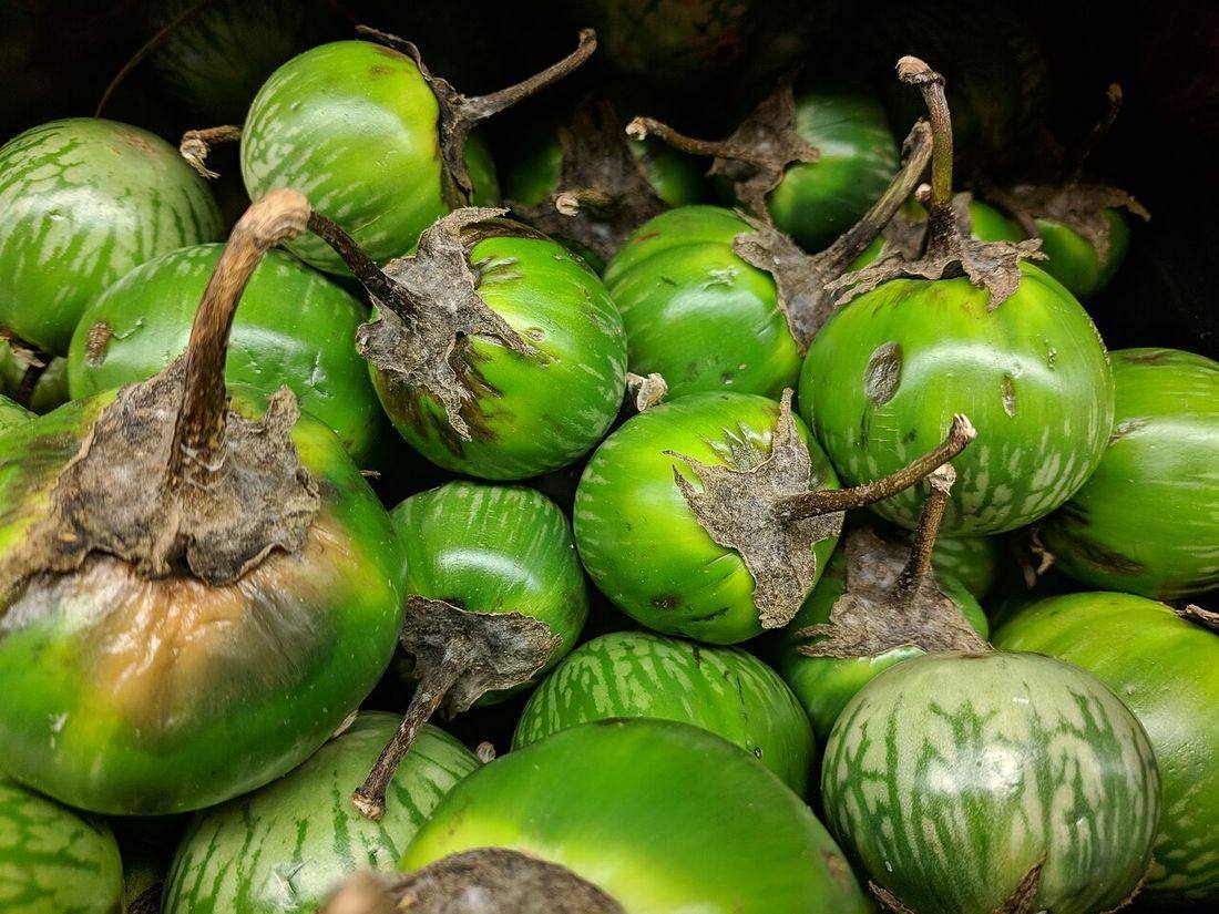 Chinese eggplant for sale at Safeway (Thai Eggplant)
