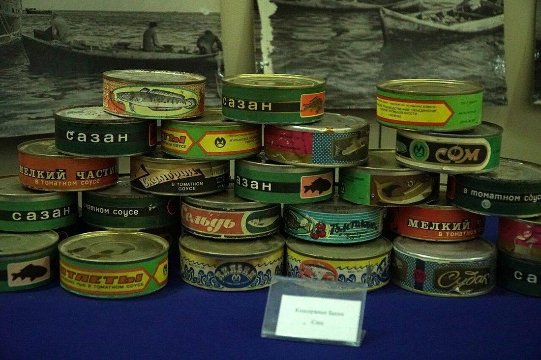 Soviet Era Fish Cans in the Aral Sea Museum, Mo'ynoq (Tinned Fish)
