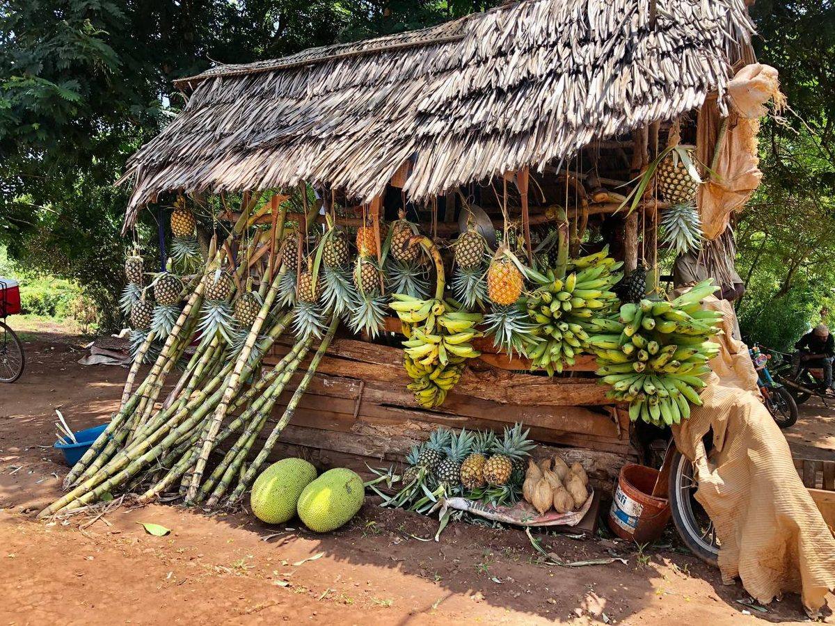 Tropical-fruits-mix (Tropical Fruit Mix)