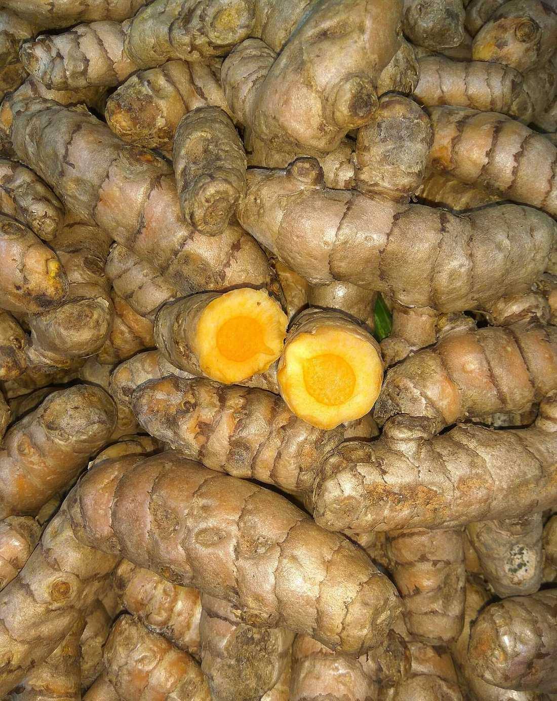 Organic Turmeric Rhizome (Root) (Turmeric Root)
