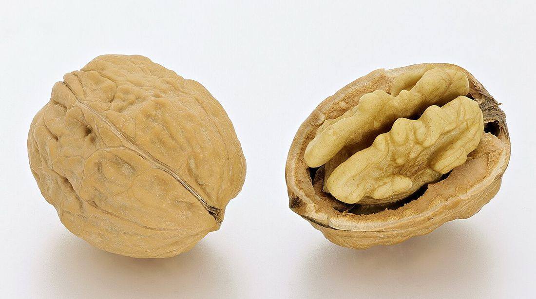 Walnuts whole and open