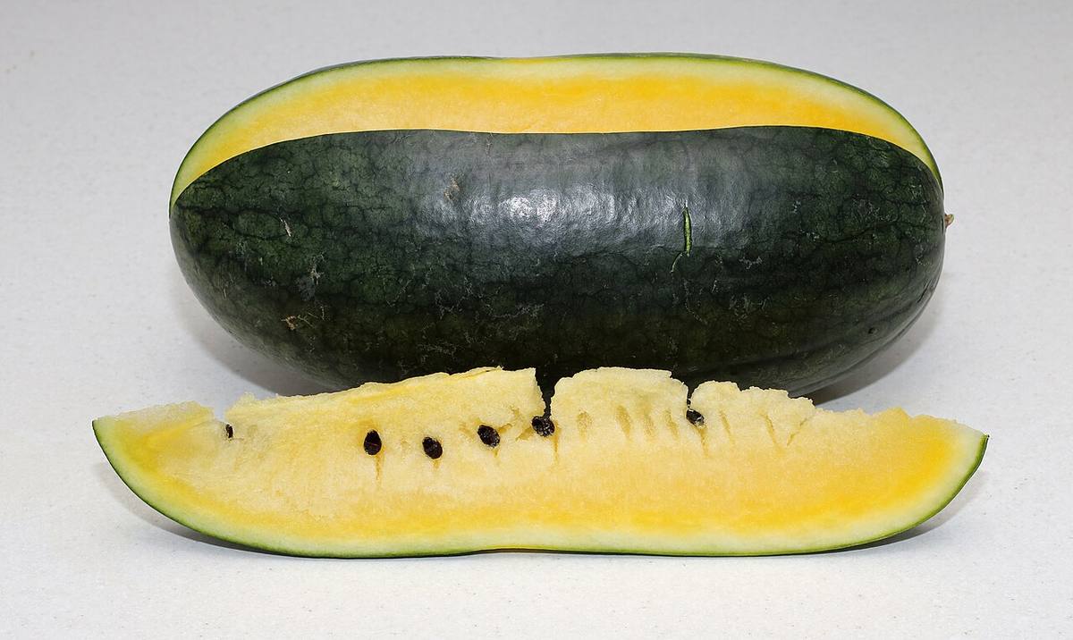 Cut watermelon wedges