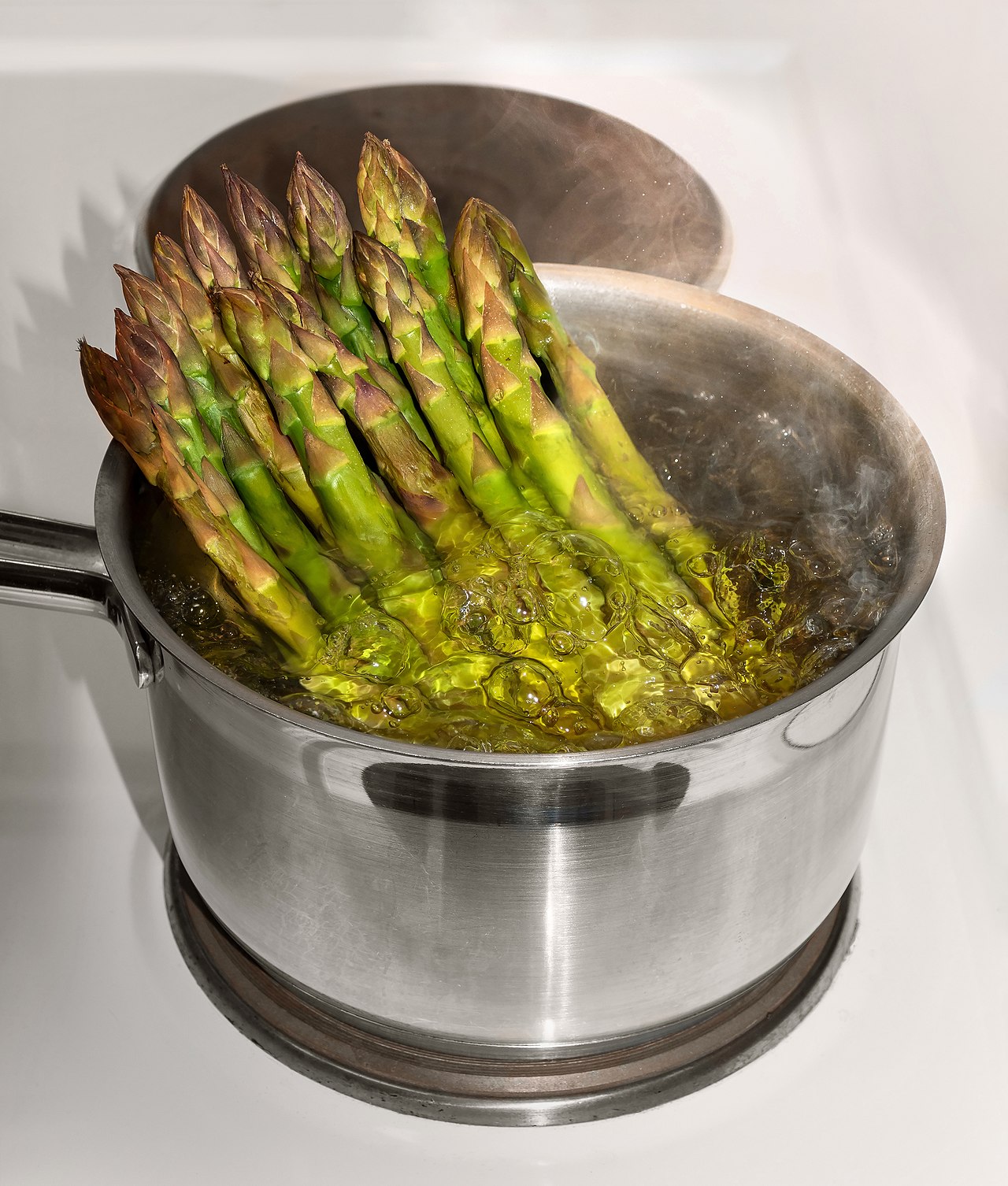 White Asparagus — representative photograph from Wikimedia Commons