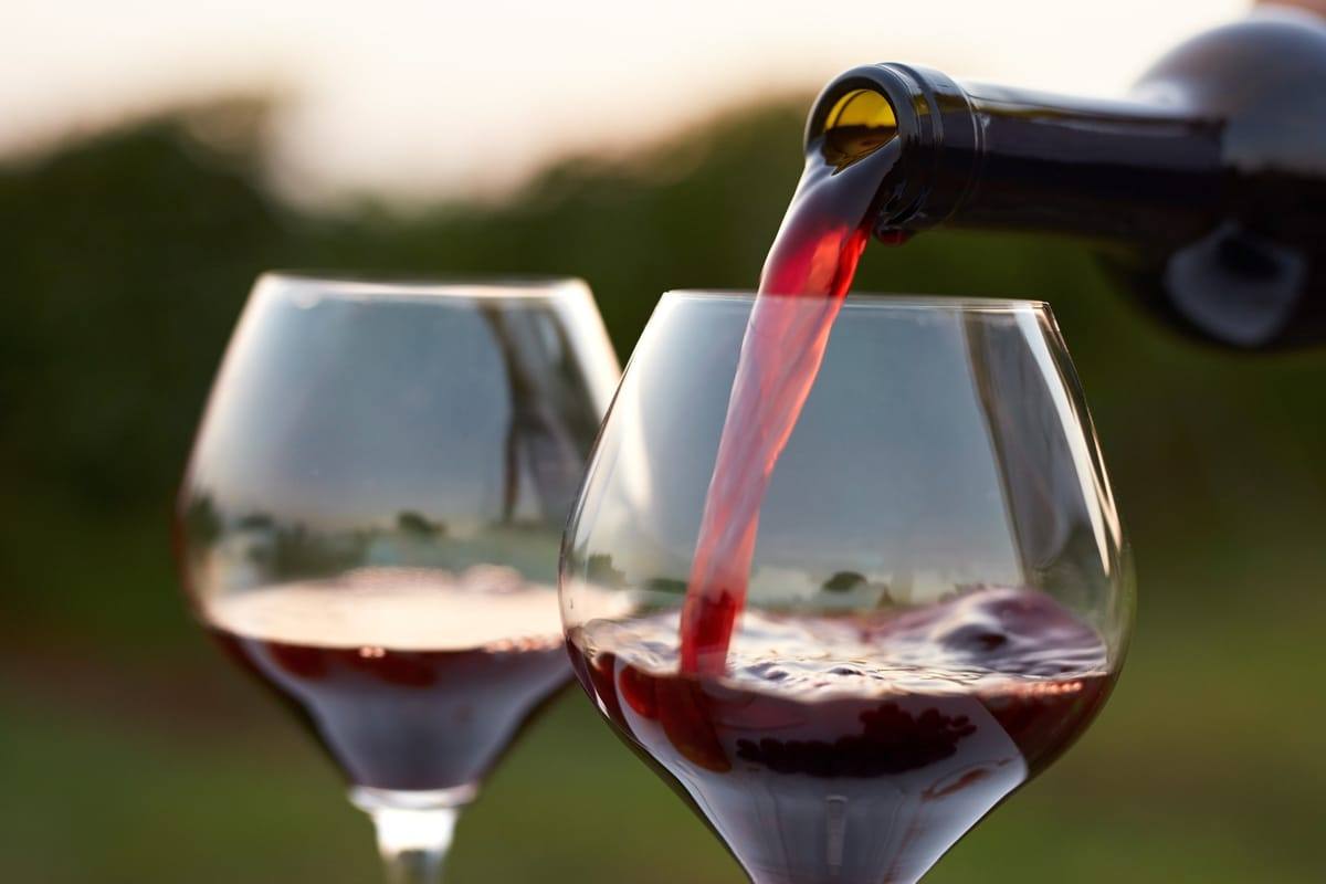 Glass and bottle of red wine