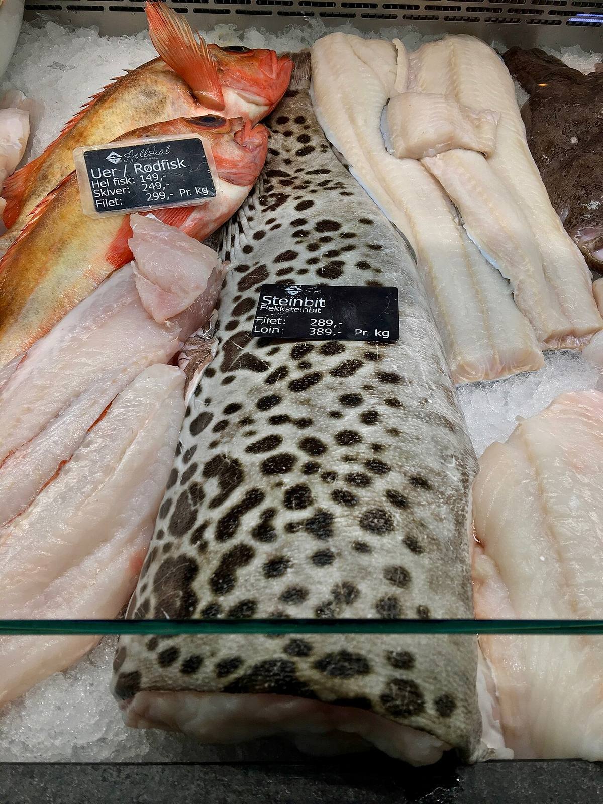 Catfish Seller (Wolffish)