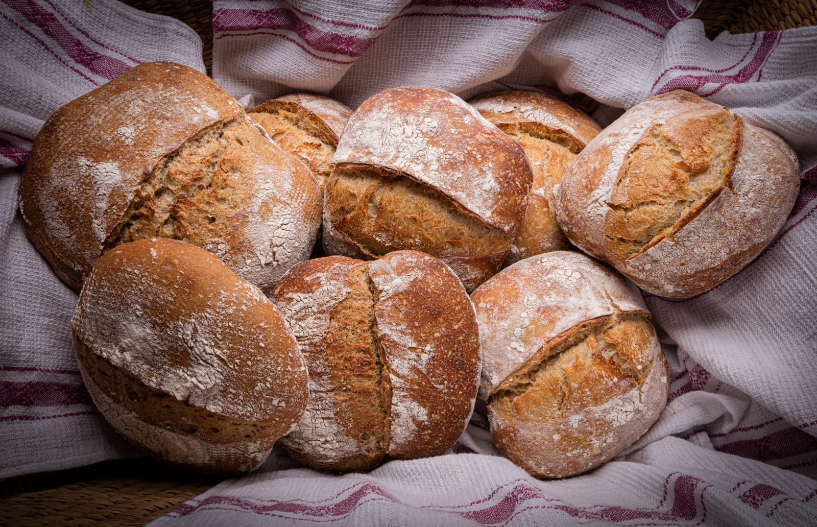 Freshly baked sourdough loaves cooling on a cloth